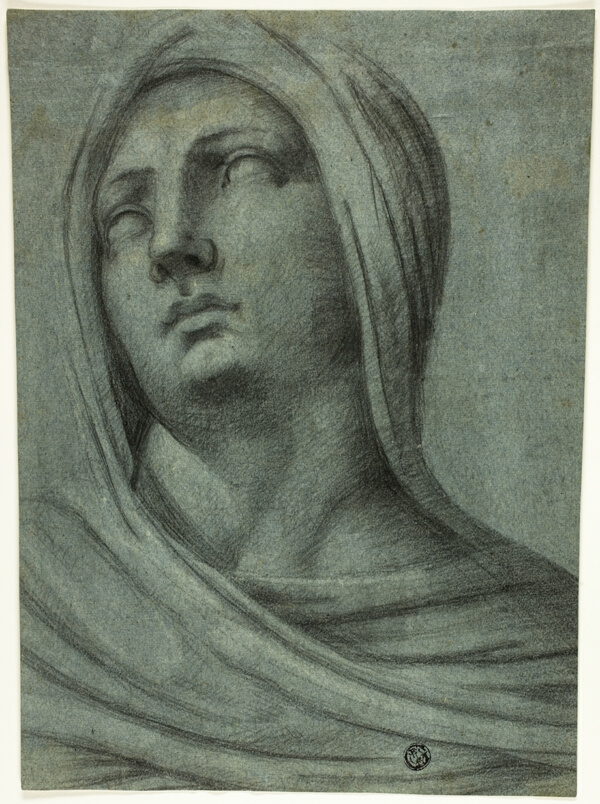 Head and Shoulders of Veiled Woman