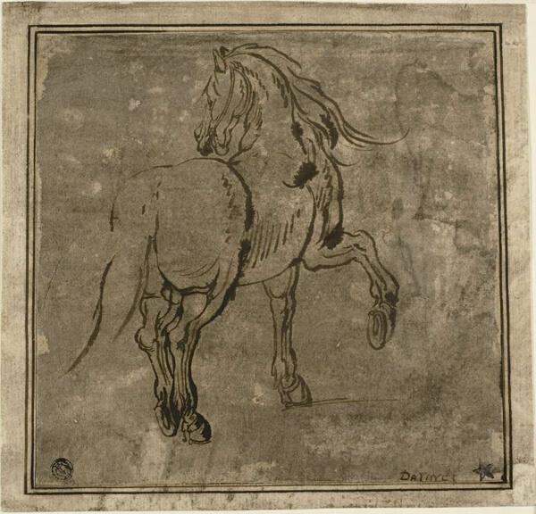Horse, Seen Three-Quarters From the Rear