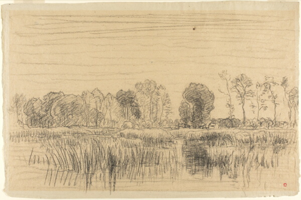 Marsh and Screen of Trees