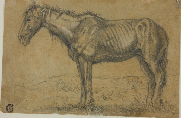 Emaciated Horse (recto); Frontal View of a Horse (verso)