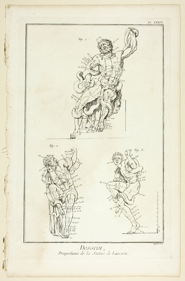 Design: Proportions of the Laocoon statue, from Encyclopédie
