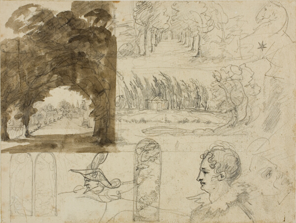 Sketches of Park Views, Heads, a Horse