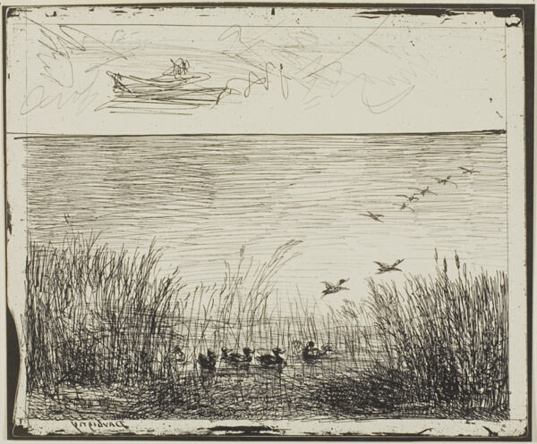 Marsh with Ducks