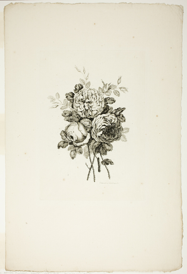 Bouquet with Roses, from Collection of Different Bouquets of Flowers, Invented and Drawn by Jean Pillement and Engraved by P. C. Canot