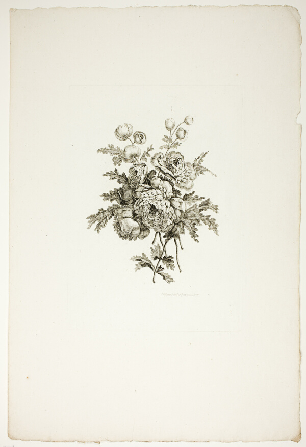 Bouquet with Peonies, from Collection of Different Bouquets of Flowers, Invented and Drawn by Jean Pillement and Engraved by P. C. Canot