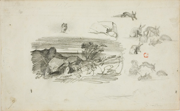 Sketches: Rocky Setting and Rabbits