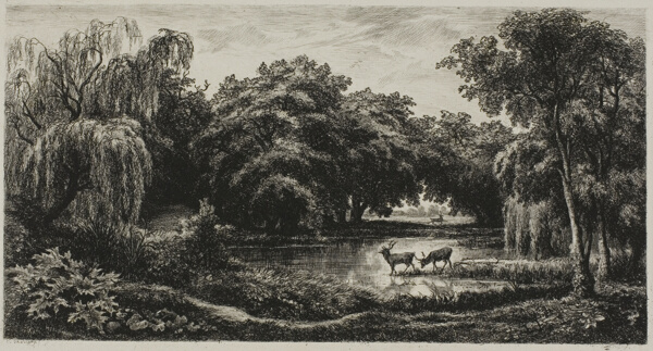 Marsh with Stags