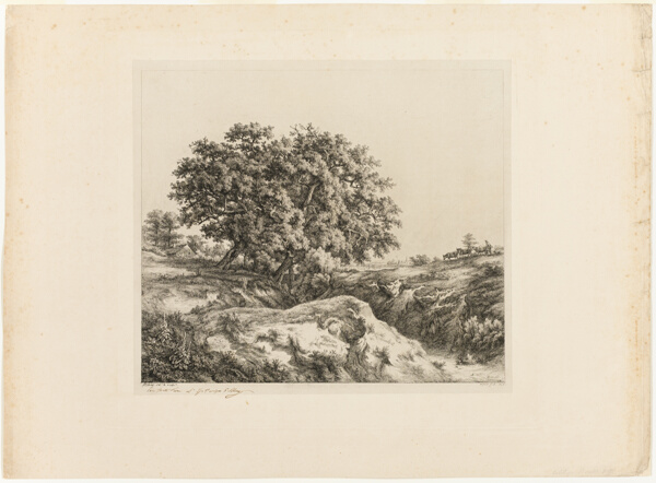 The Bouquet of Trees, or The Lindens (Souvenir of the Sarthe)