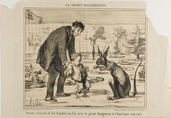 A Scientist Trying to Befriend his Son with a Great Kangaroo from Central America, plate 3 from La Société D'acclimatation