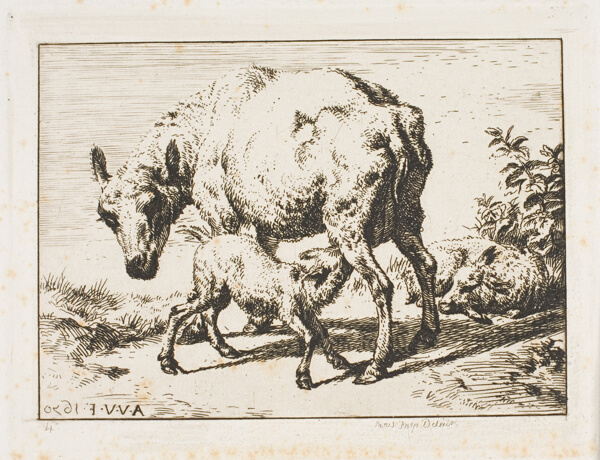 The Ewe with Two Lambs