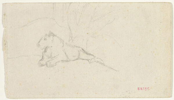 Lioness Lying near a Tree