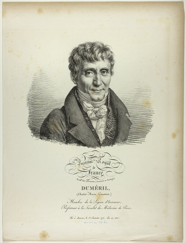 Portrait of André-Marie-Constant Duméril