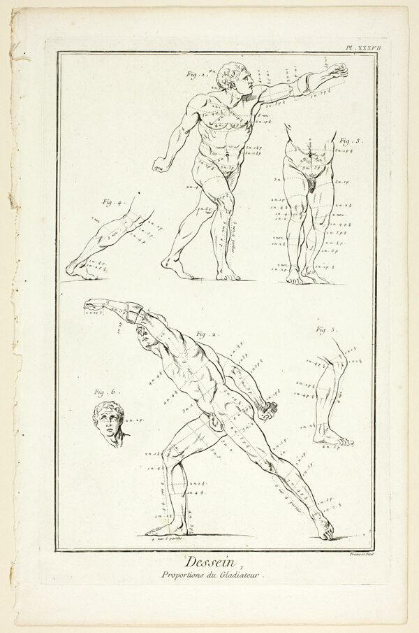 Design: Proportions of the Gladiator, from Encyclopédie