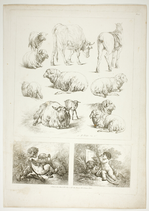 Plate Eight of 38 from Oeuvres de J. B. Huet