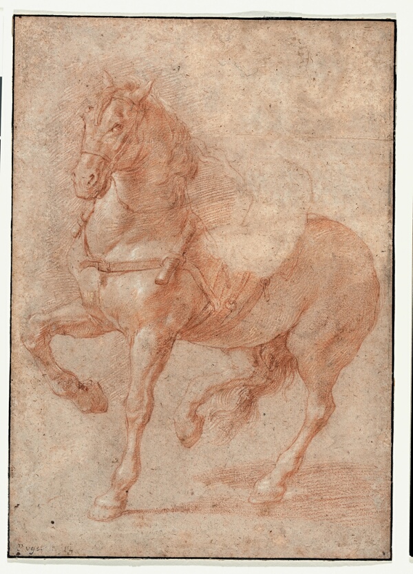 Study of Bucephalus for the Relief 