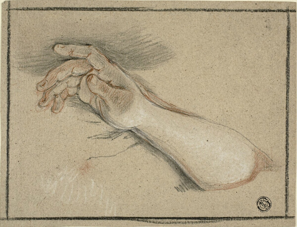 Hand and Forearm