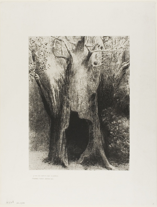 I Plunged into Solitude. I Dwelt in the Tree behind Me, plate 9 of 24