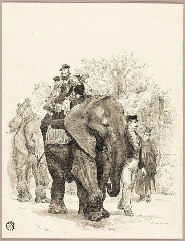 Elephant with Riders in Jardin des Plantes, Paris