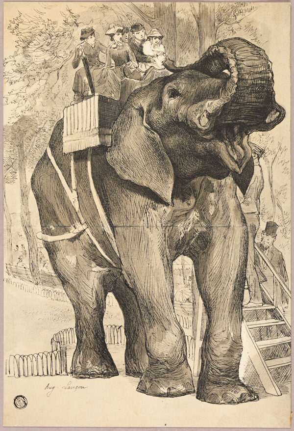 Elephant with Riders