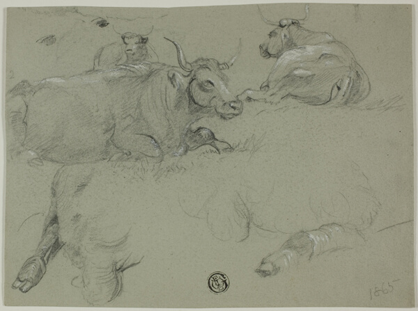 Sketches of Cows