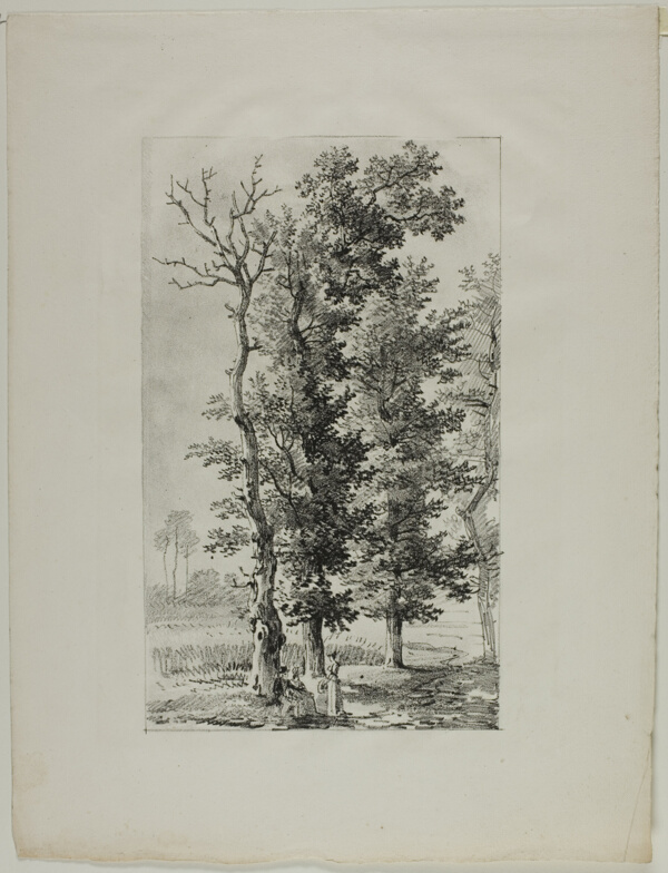 Study of Trees