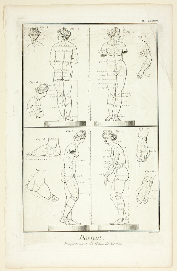 Design: Proportions of the Medici Venus, from Encyclopédie