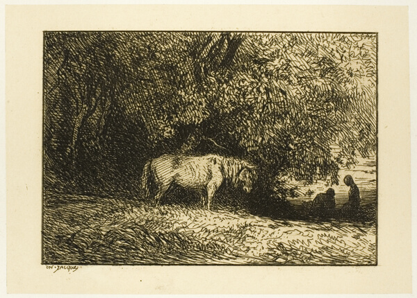 Horse in a Wood