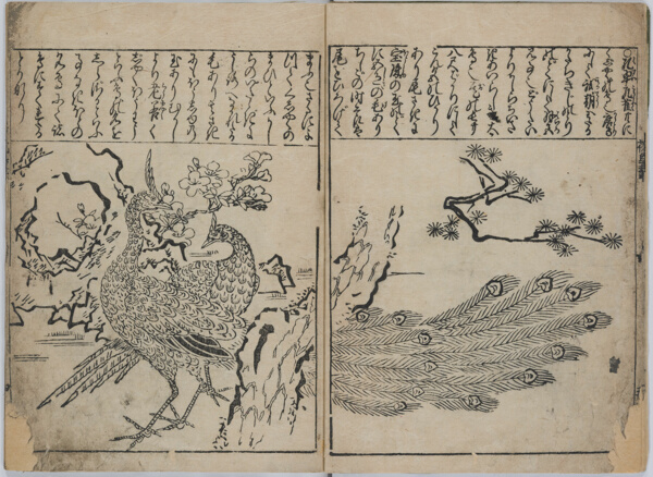 A Collection of Flowers and Birds (Kacho zukushi)