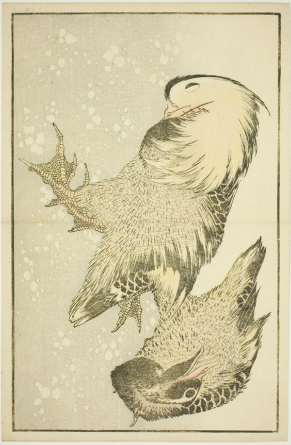 Two Waterfowl, from The Picture Book of Realistic Paintings of Hokusai (Hokusai shashin gafu)