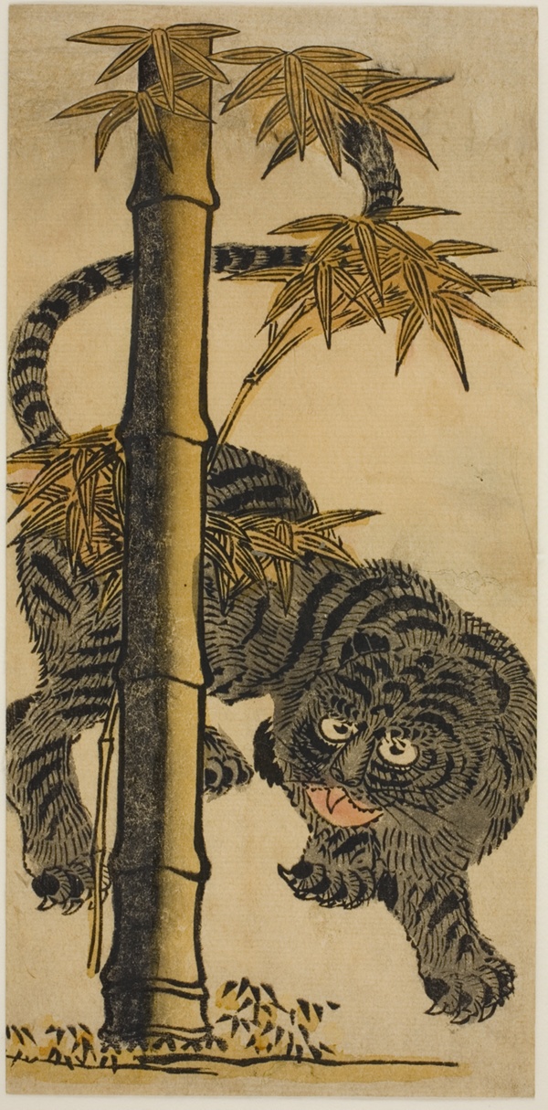 Bamboo and Tiger