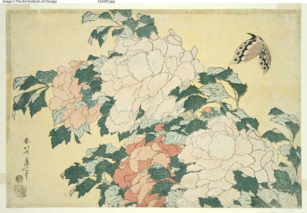 Peonies and Butterfly, from an untitled series of large flowers