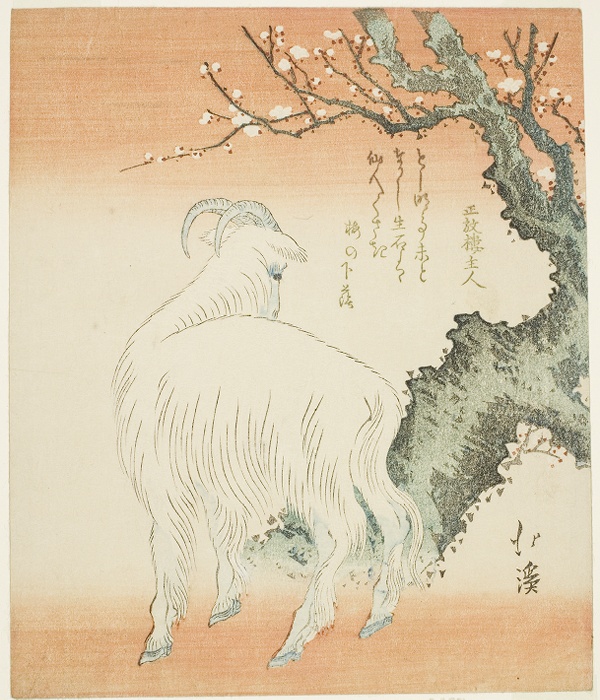 Goat beneath a plum tree