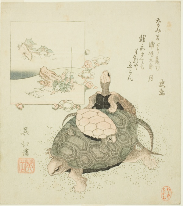 Sea turtles and Urashima Taro