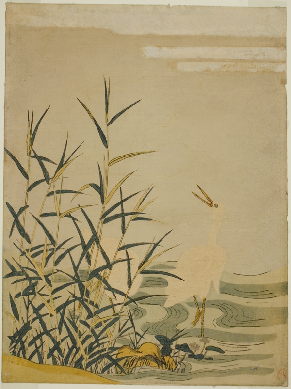 Egrets in the Reeds