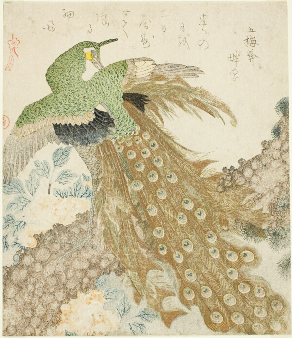 Peacock, Pine Tree, and Peonies, from the series 