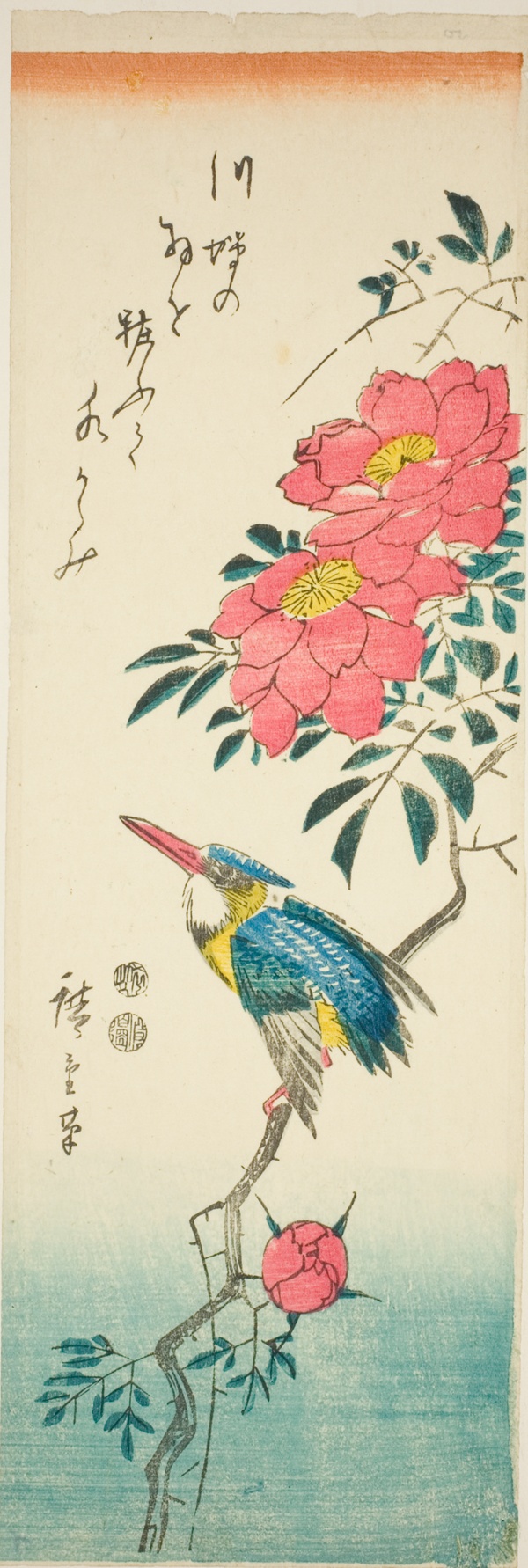 Kingfisher and roses