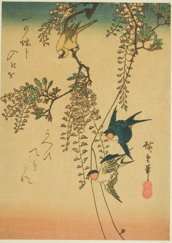 Swallow, yellow bird, and wisteria