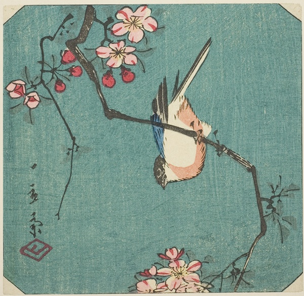 Bullfinch, section of an untitled harimaze print