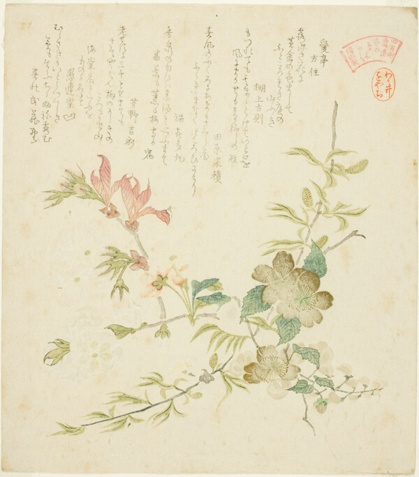 Various Spring Flowers, from the series 