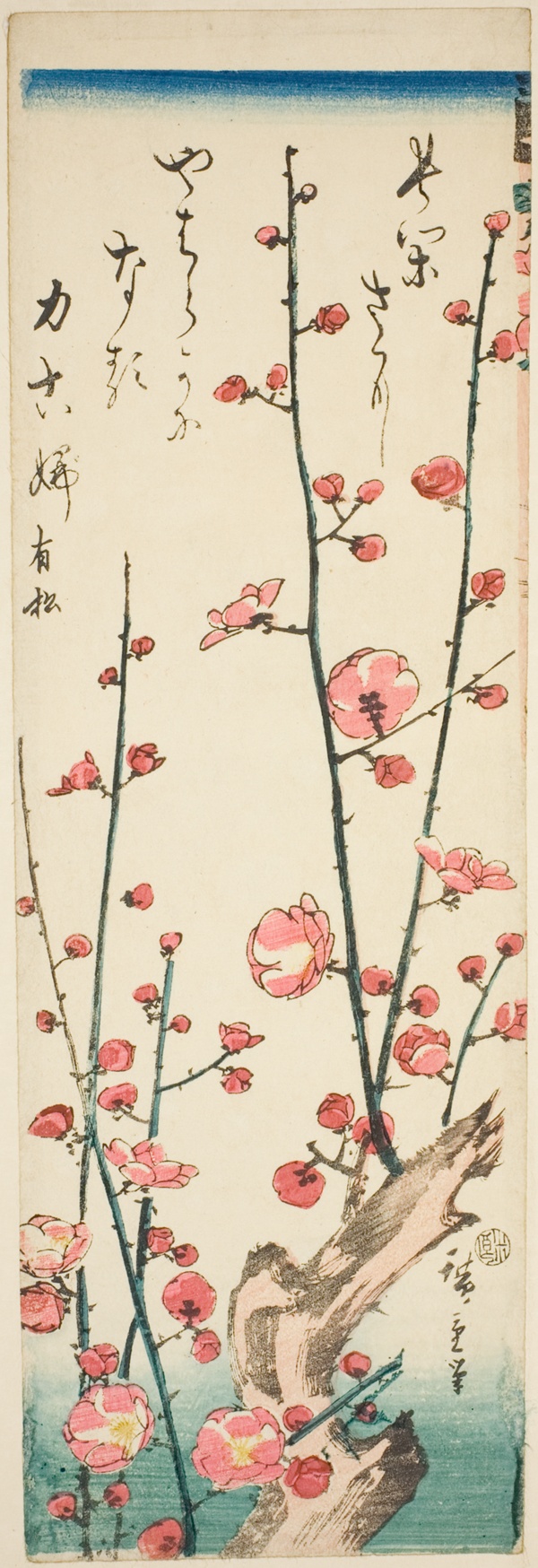 Blossoming plum branches