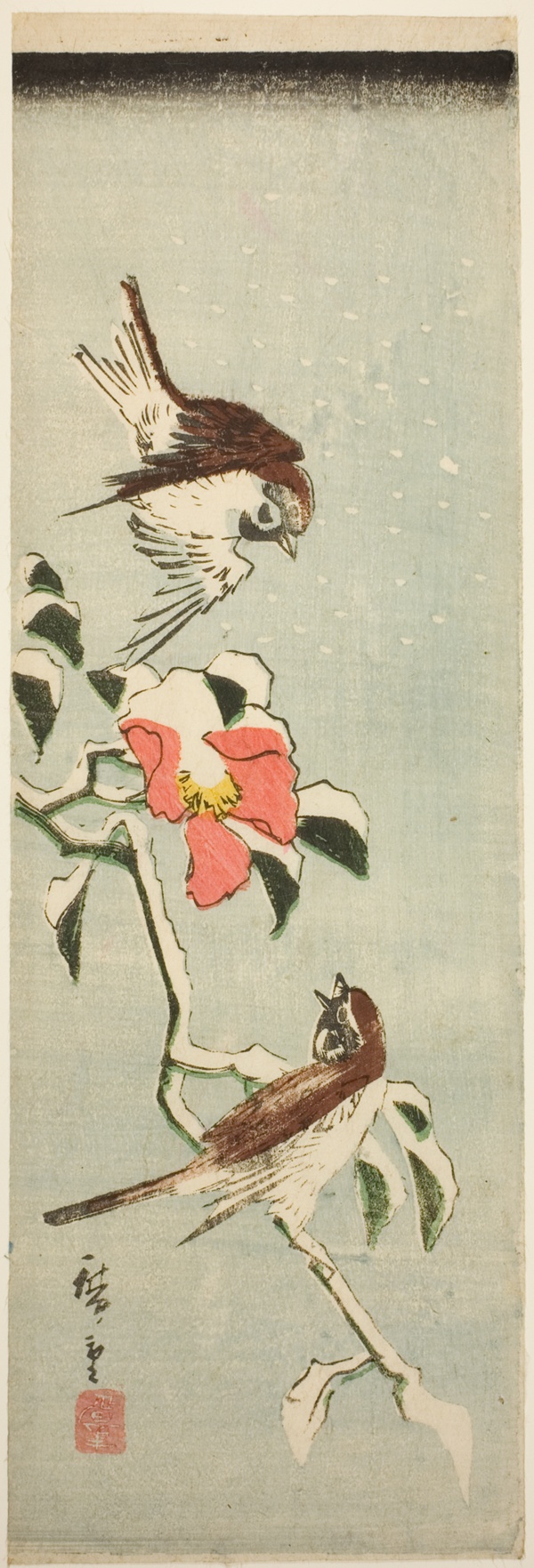 Sparrows and camellia in snow
