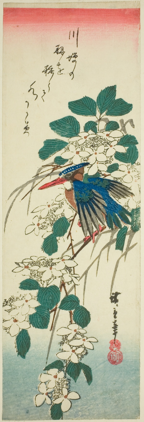 Kingfisher and viburnum