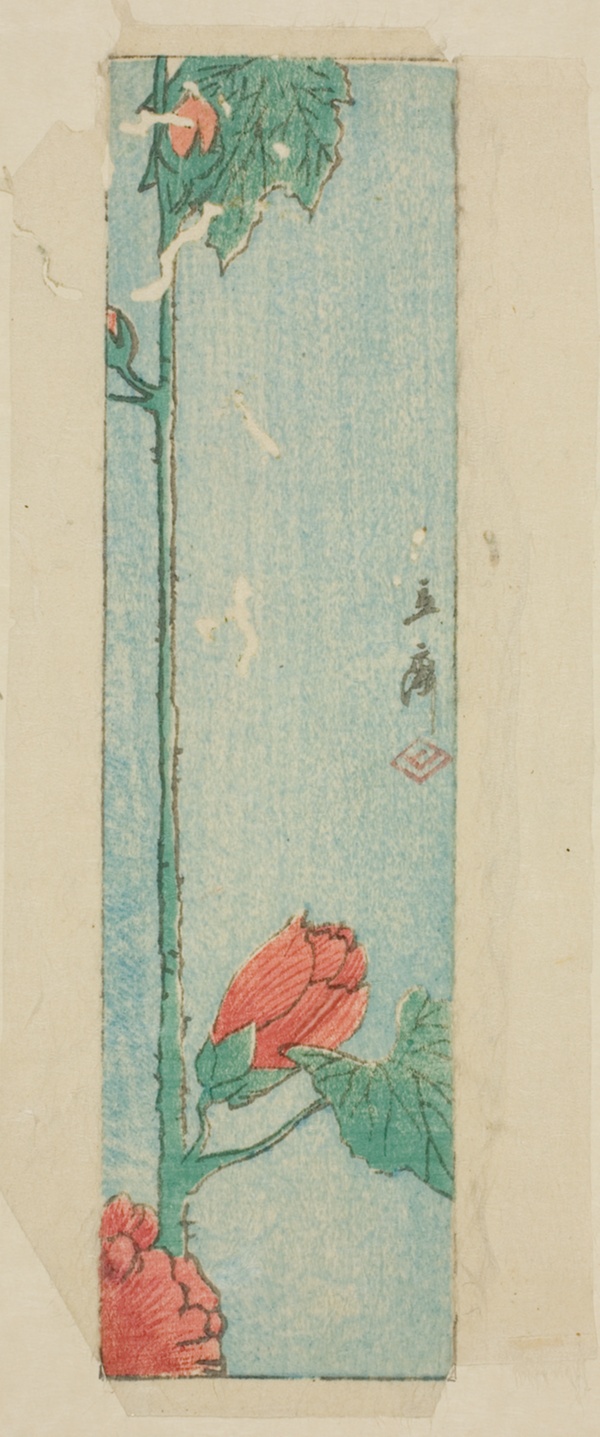 Envelope with hibiscus