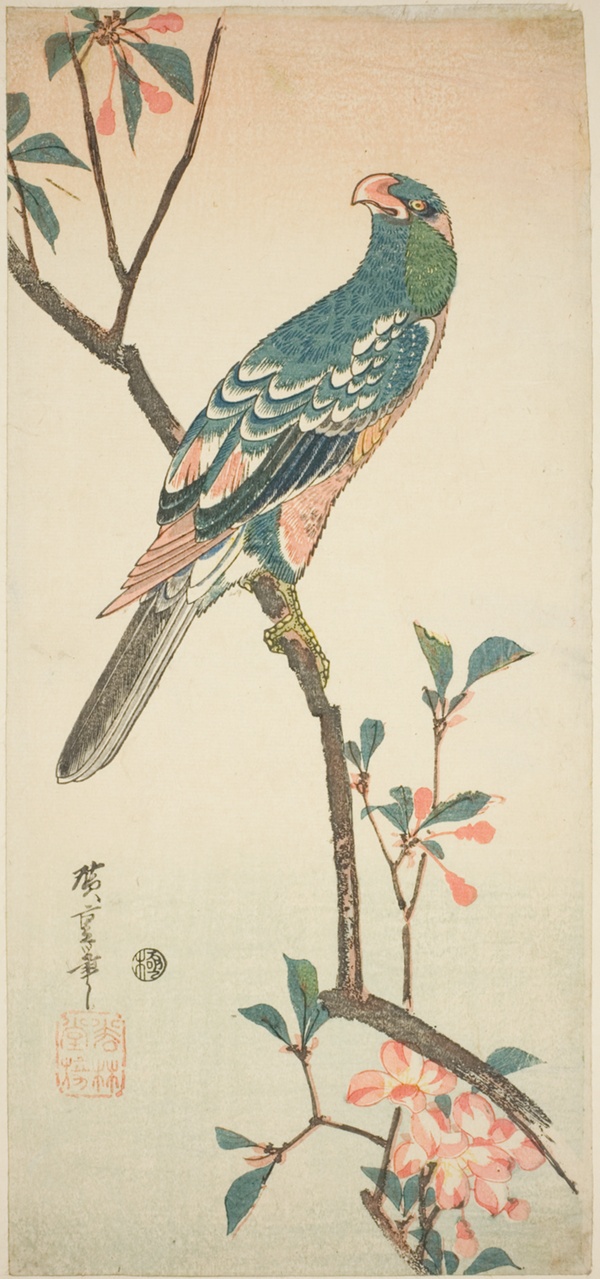 Parrot on a blossoming branch