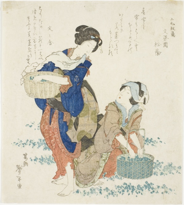 Two women gathering herbs