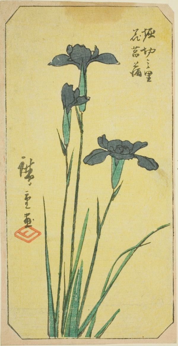 Iris at Horikiri Village (Horikiri no sato hanashobu), section of a sheet from the series 