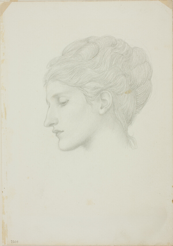 Woman's Head in Profile to Left
