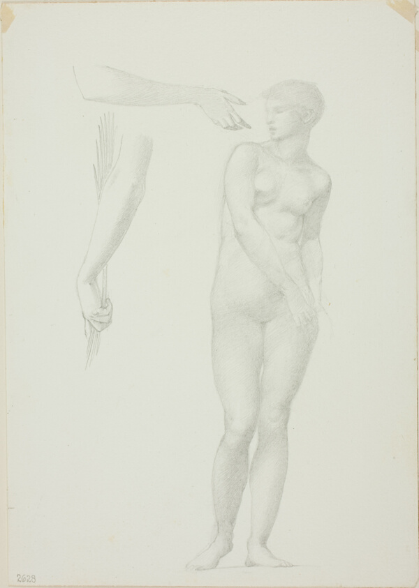 Standing Female Nude and Sketches of Arms