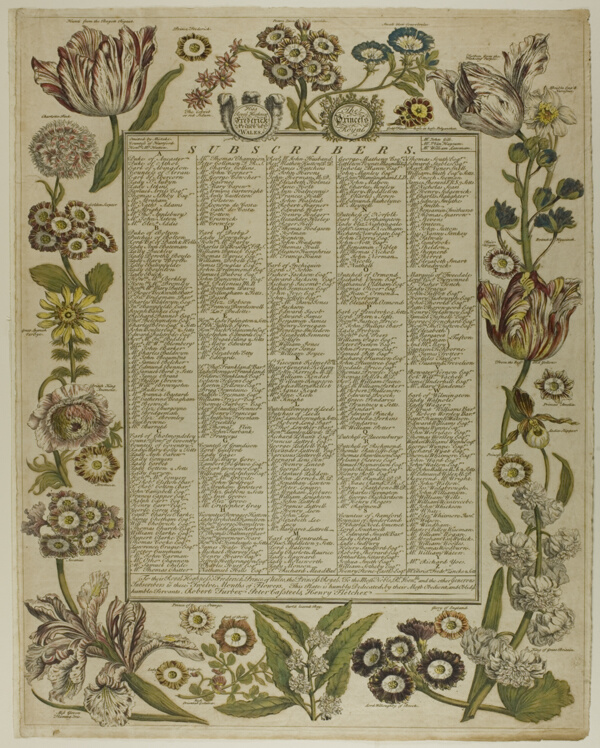 Title Page, from Twelve Months of Flowers