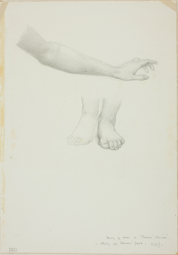 Arm and Feet, study for Mirror of Venus